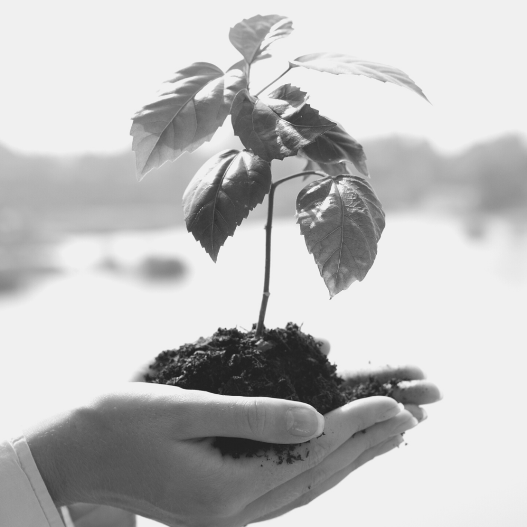Growth Mindset
