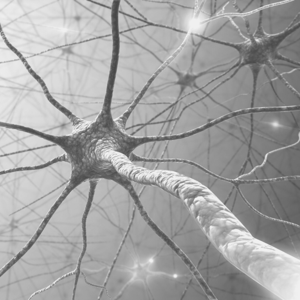 What Is Neuroplasticity