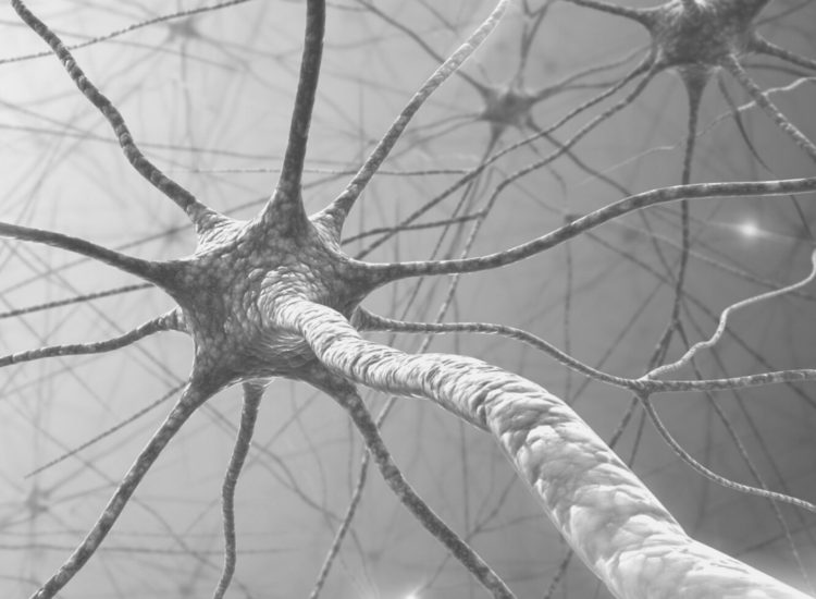 What Is Neuroplasticity And How Can I Benefit From It?